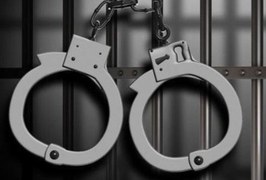 پلیس بین الملل ناجا، استرداد کلاهبردار 370 میلیاردی به ایران پلیس بین الملل ناجا، استرداد کلاهبردار 370 میلیاردی به ایران