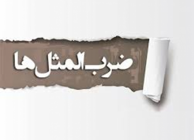داستان ضرب المثل از آب گل آلود ماهی دریافت