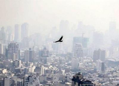 متهمان دیگر آلودگی هوای تهران فراموش نشوند