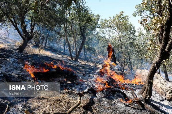 آسیب جدی آتش سوزی ها به 1850هکتار جنگل کهگیلویه و بویراحمد، کمبود 240قرقبان