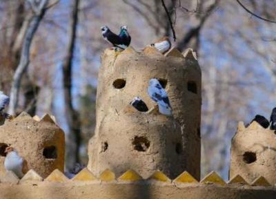 طراحی باغ: زیست 1900 پرنده در باغ پرندگان اصفهان