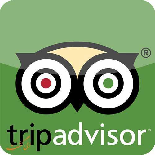 طراحی سایت: همه چیز در خصوص اپلیکیشن و وبسایت سفری تریپ ادوایزر (TripAdvisor)